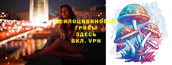 амф Алексеевка