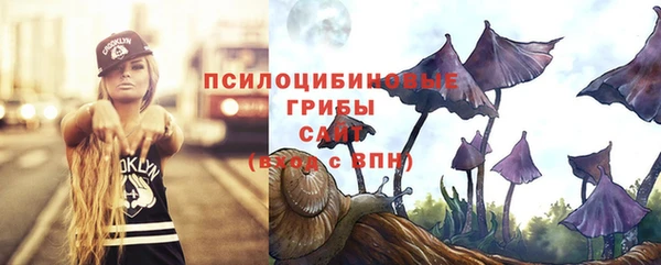кристаллы Алзамай